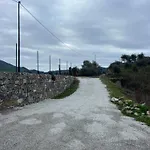 Wild Villa
