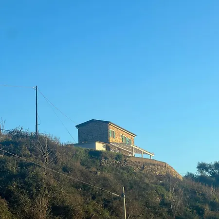 Wild וילה Vignana